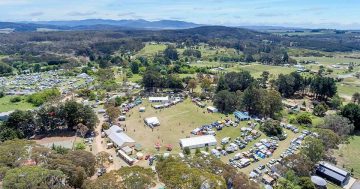 Majors Creek Festival beats for 25th year