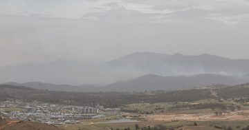 Pierce's Creek bushfire: Conditions help crews control blaze