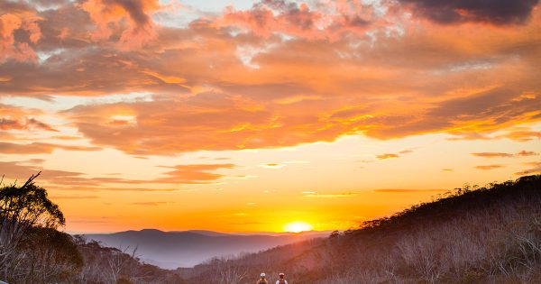 Wildflowers, rivers and mountain air: Five picks for staying in the Snowies in warmer weather