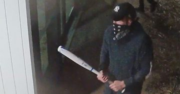 Two teenagers to face court for vandalism spree at Grammar schools