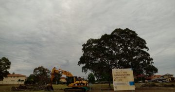 Chapman public housing start an abuse of power, says residents group