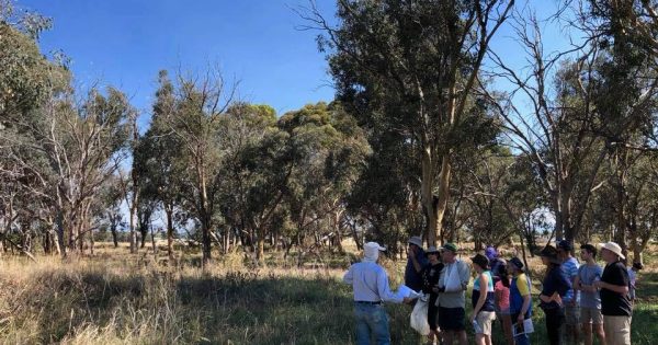 Unlocking the potential of our natural grasslands