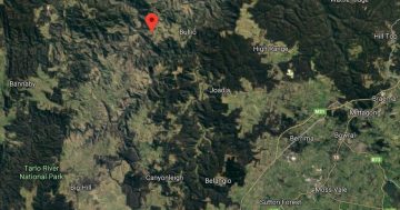 Man arrested in connection with illegal police buggy in Southern Highlands