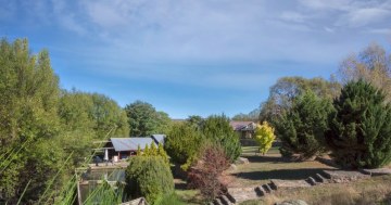 Iconic Snowy Mountains business Eucumbene Trout Farm hits the market