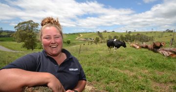 Dairy training and jobs for those who want them