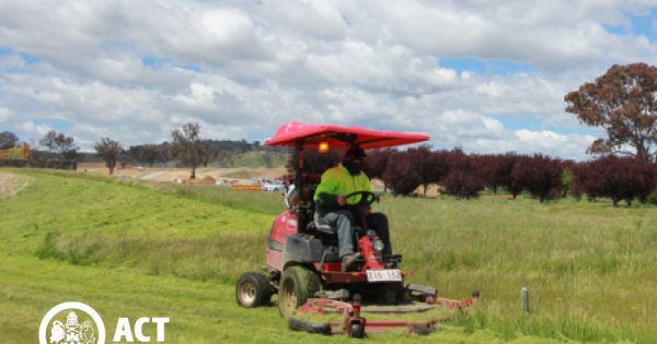 City’s mowing crews looking to cut safety problems for road users