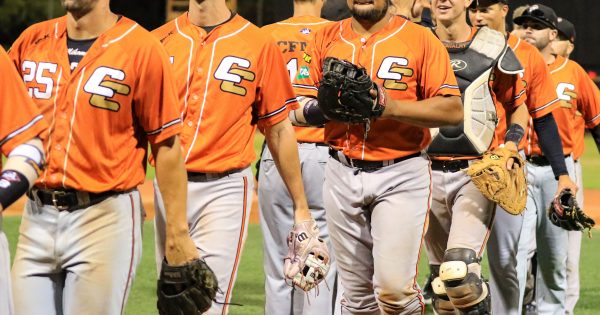 Cavalry success inspiring new baseball players across Canberra