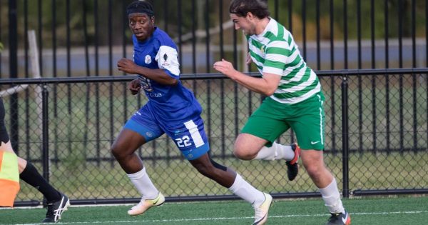 Gungahlin United raid rival clubs ahead of 2019 NPL season