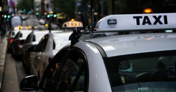 Taxi plate owners facing ruin renew compensation push