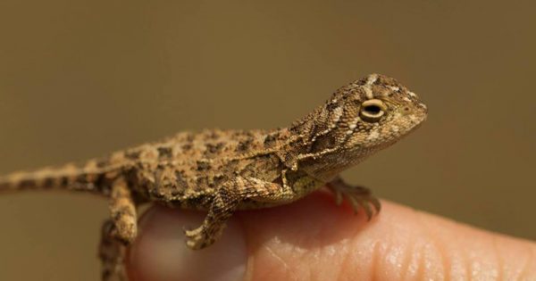 Budget boost for grasslands, waterways and wildlife