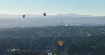 Early risers floating on air at Balloon Spectacular