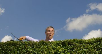 Canberra’s neighbourhood conflicts: Fences, noise, trees and being too scared to talk