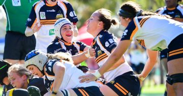 Six Brumbies make Wallaroos squad ahead of four-test 2019