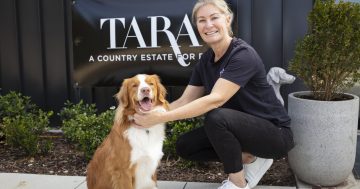 An expansive country estate just for pets