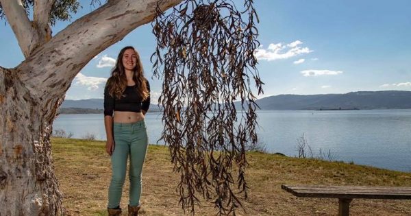Victorian artists light up Jindabyne's Lake Light Sculpture