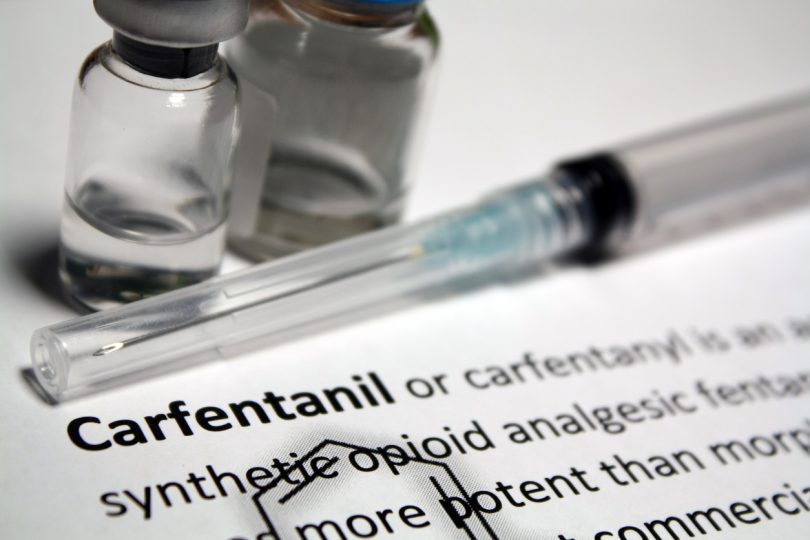 Carfentanil - potent enough to sedate an elephant. File photo.
