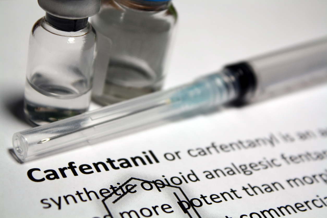 Buying elephant sedative online as easy as purchasing books according to ANU study