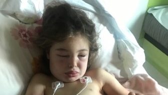 European Wasps sting Braidwood girl 200 times