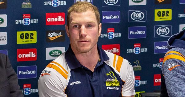 Former Wallabies captain David Pocock punts on ACT Senate run