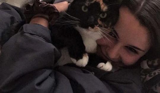 Concerns raised about Tuggeranong pet killer