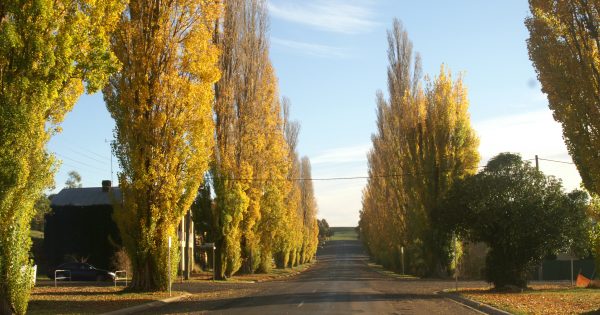 Taralga turns on country charm and fine dining for art show