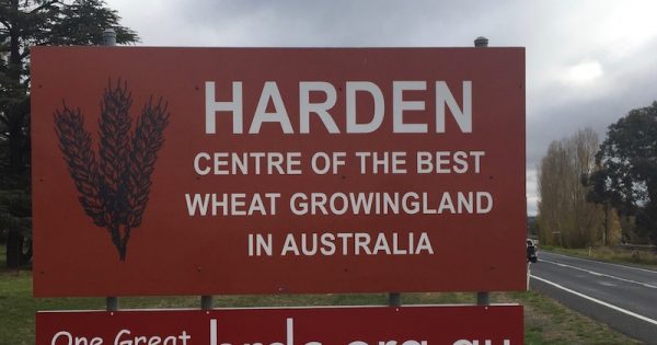 Harden business group wants more ambitious growth model