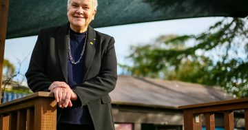 Draft Fluffy report says contamination saga was 