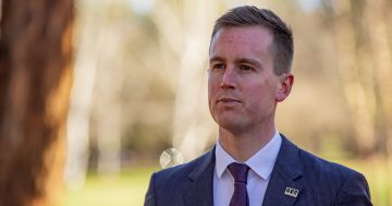 Government launches multilingual welcome packs to help new Canberrans feel at home