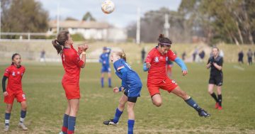 Mammoth Kanga Cup keeps volunteers and organisers on the hop