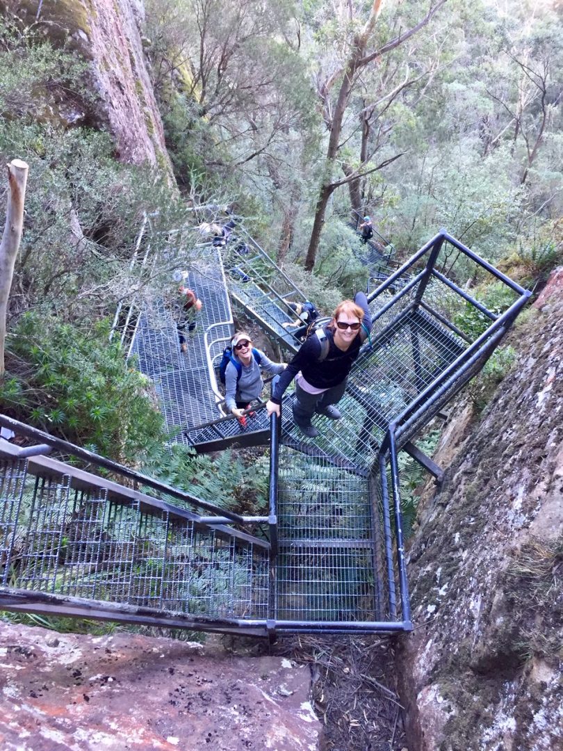 Our chosen experience for this weekend would be a Grade 4 bushwalk