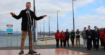 UPDATED: Constance Eden-Monaro decision influenced by alleged Barilaro slur