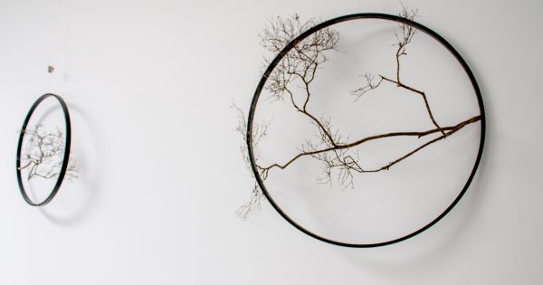 Artist on the Springboard presents 'Gaze: The Useless Object,' exploring beauty in the ordinary
