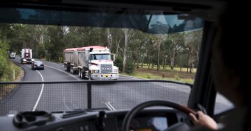 Madden’s trucks run non-stop keeping up with Aldi and McCain