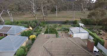 This is Ainslie - between the city and the bush