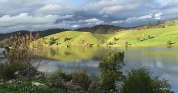 $90,000 payout for man injured in Burrinjuck Dam boating accident when a boy