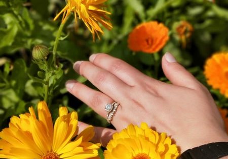 Have you seen these missing rings?