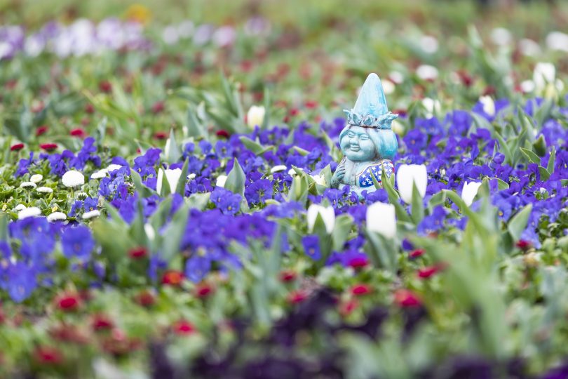 Gnomes
