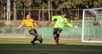 Gungahlin called and Jordan Thurtell answered