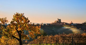 Hazelnuts, cyclists and Nebbiolo wine: from Italy to Murrumbateman