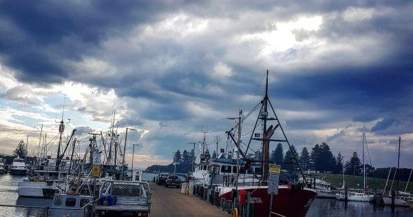 Trapman Bermagui - the life of a commercial fisher and social media star