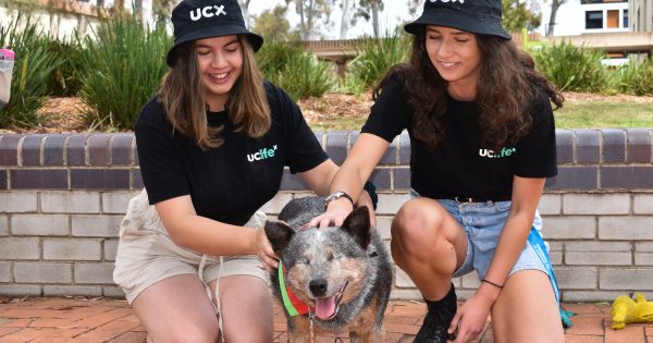 Mental health centre stage amid testing times at UC