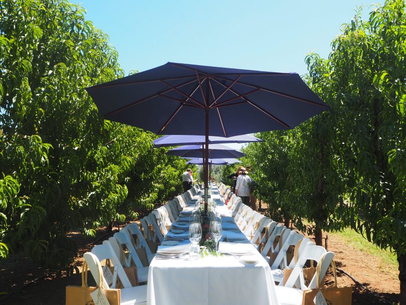 Image supplied by Pialligo Estate