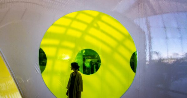 Ten things to do around Canberra this weekend (8–10 November)
