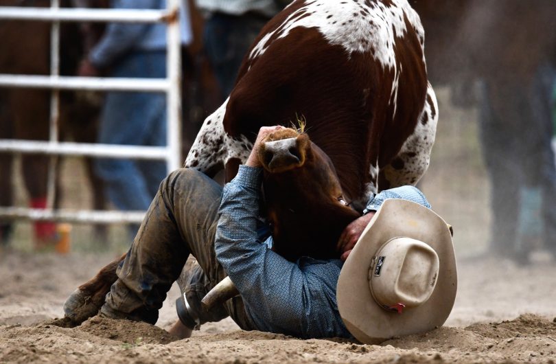 Rodeo
