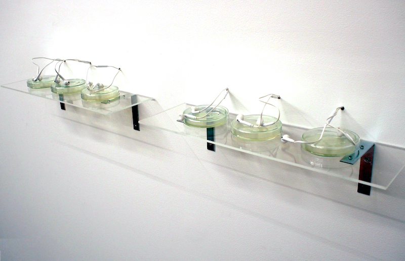Carolyn Craig’s ‘bacteria nervosa'