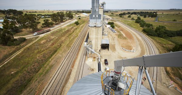 Meet the grain growers who refused to let Cunningar die