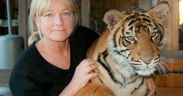 Sally prepares to leave Mogo Zoo for the last time: 