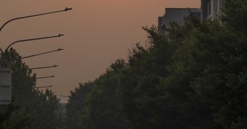 Canberra could break temperature records as heatwave heads our way