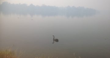 This smoky pall reflects the true scale of our bushfire losses