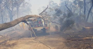 ACT RFS firetruck damaged near Braidwood